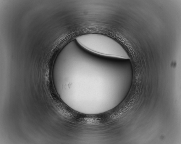 X0000101200693200806270830