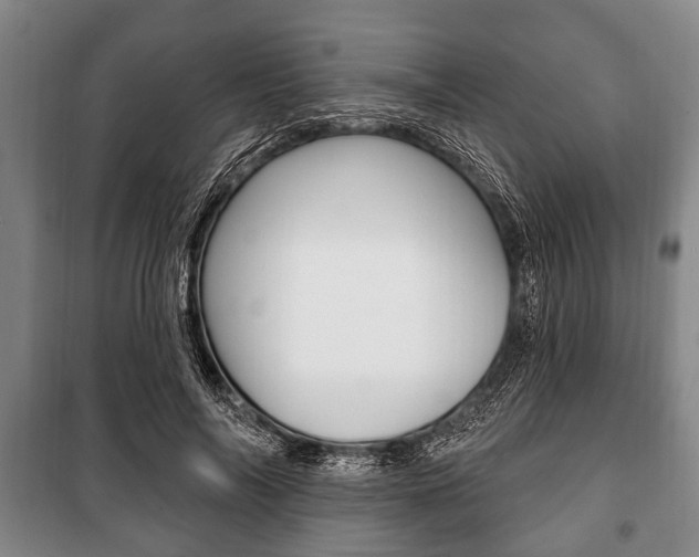 X0000101200694200806270830