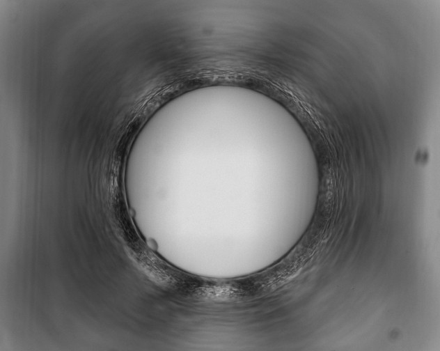 X0000101200695200806270830