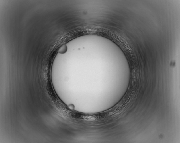 X0000101200698200806270830