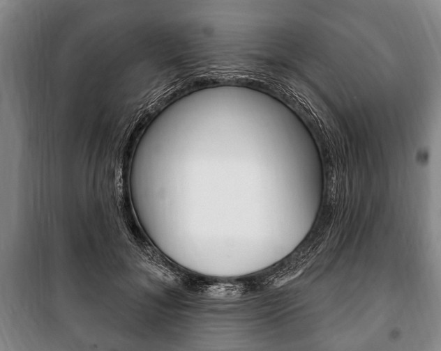 X0000101200700200806270830