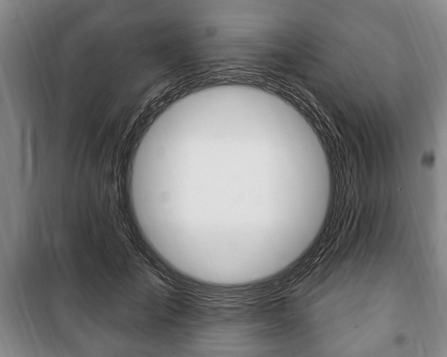 X0000101200701200806270830