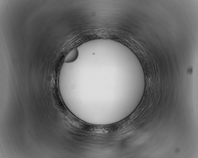 X0000101200702200806270830