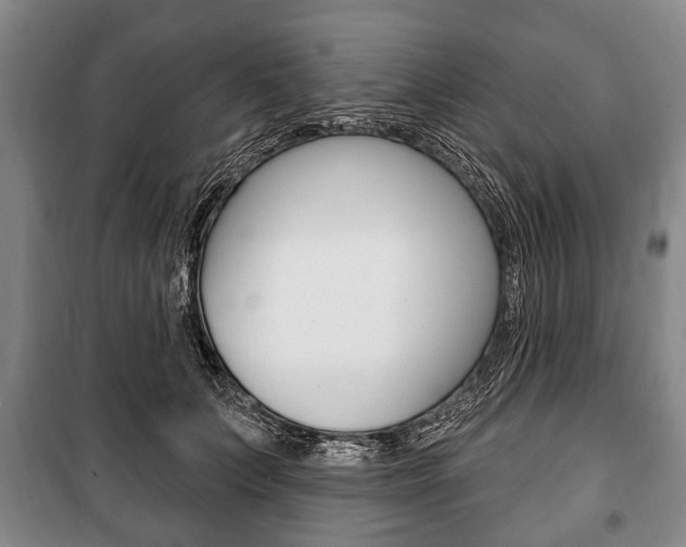 X0000101200703200806270830