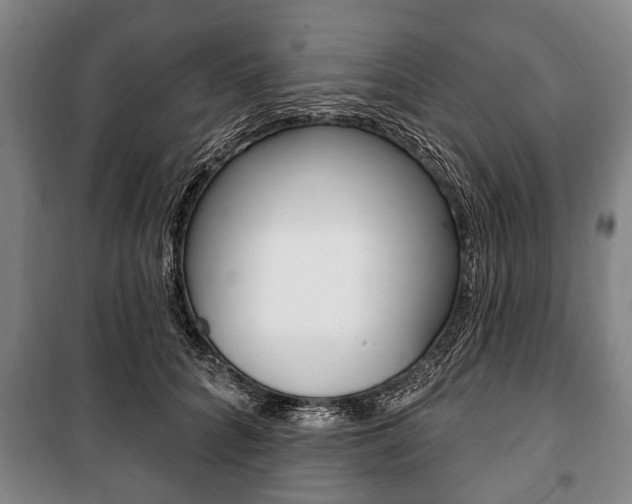 X0000101200704200806270830