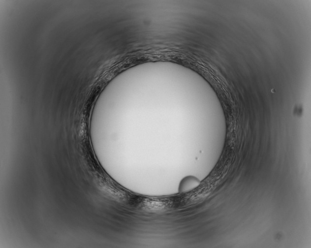 X0000101200706200806270830