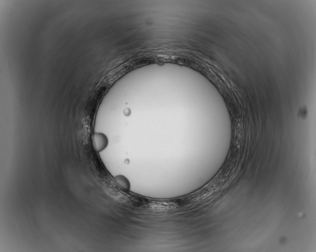 X0000101200707200806270830