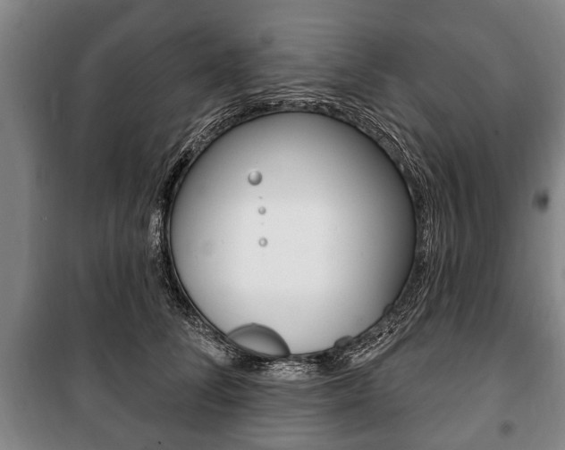 X0000101200708200806270830