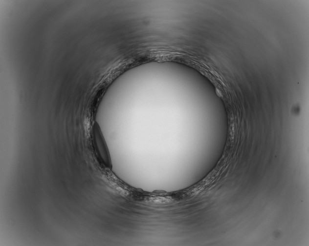 X0000101200716200806270830