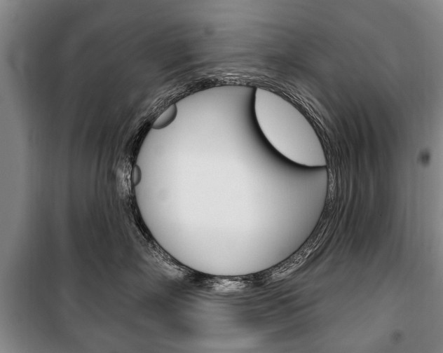 X0000101200718200806270830