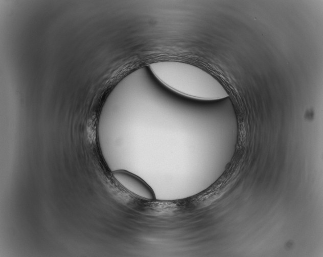 X0000101200719200806270830