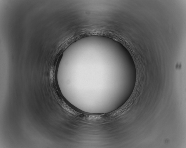 X0000101200720200806270830