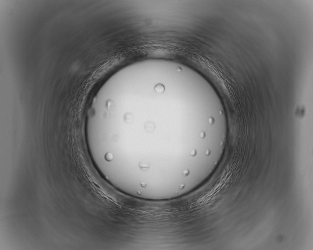 X0000101200721200806270829