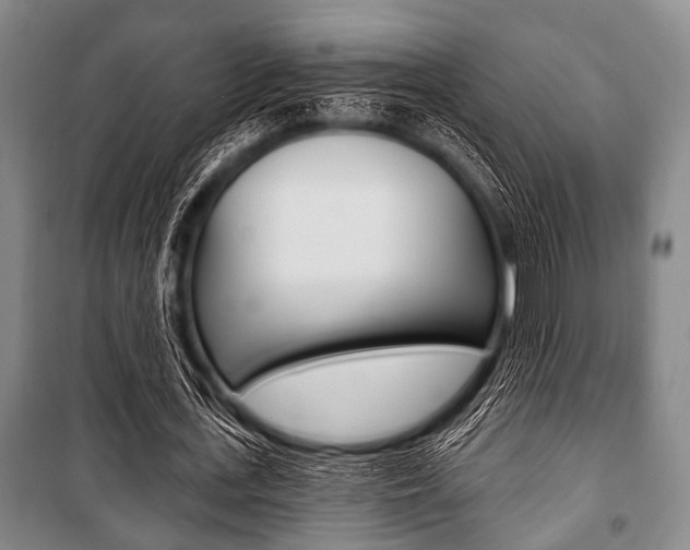 X0000101200723200806270829