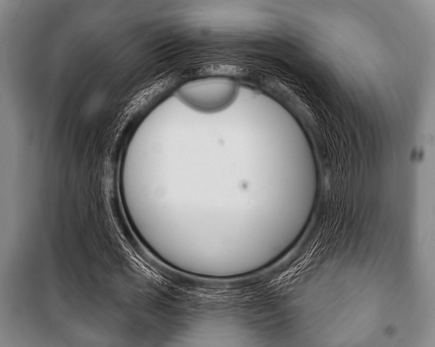 X0000101200725200806270829