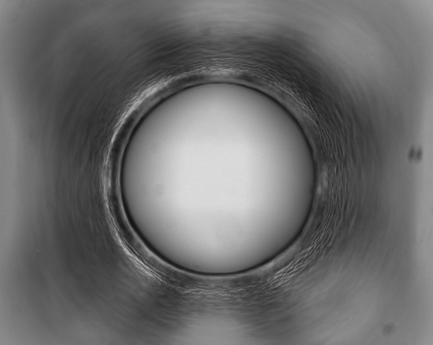 X0000101200726200806270829