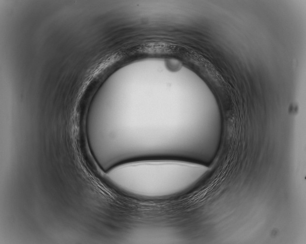 X0000101200727200806270829