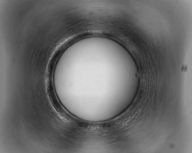 X0000101200728200806270829