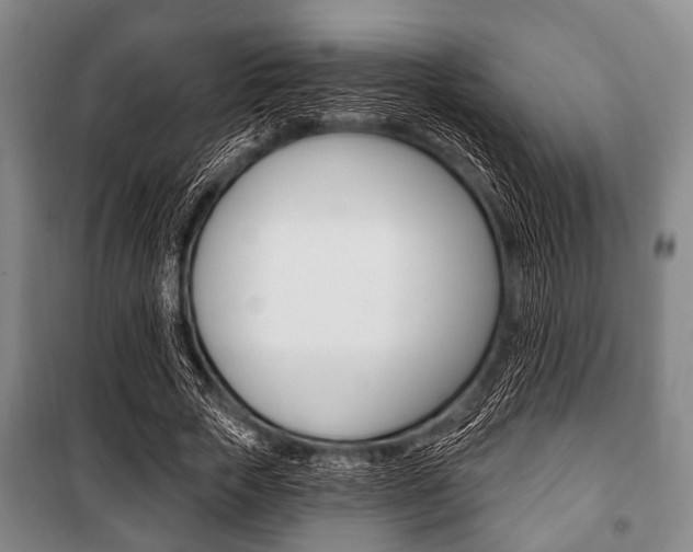 X0000101200729200806270829