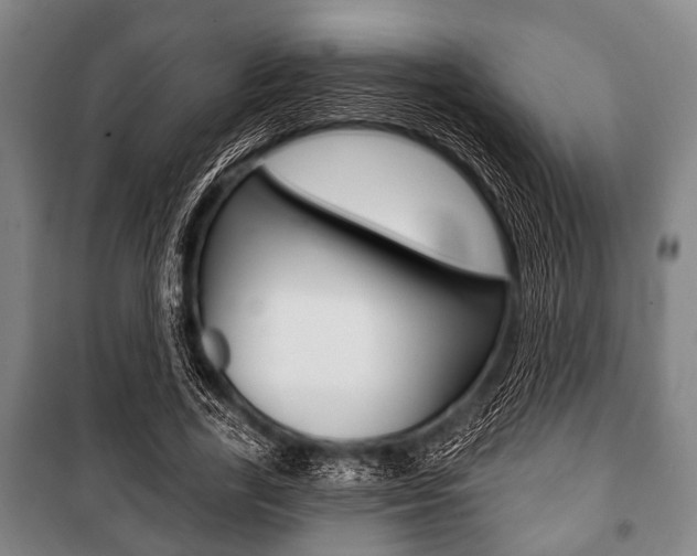 X0000101200731200806270829