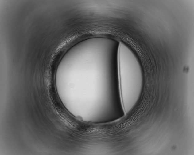 X0000101200732200806270829