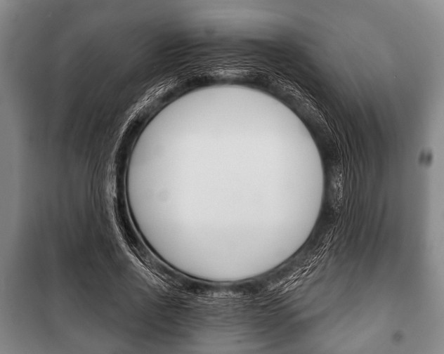 X0000101200734200806270829