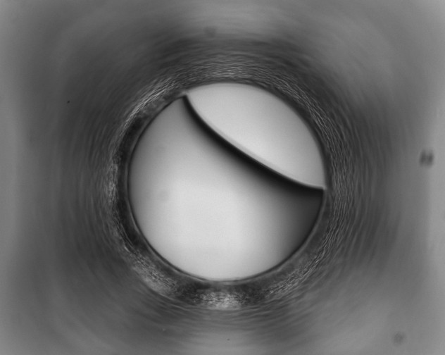 X0000101200735200806270829