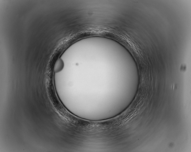 X0000101200736200806270829