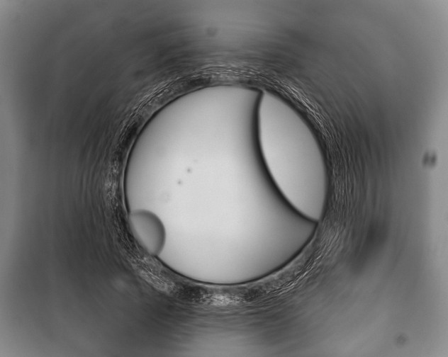 X0000101200737200806270829
