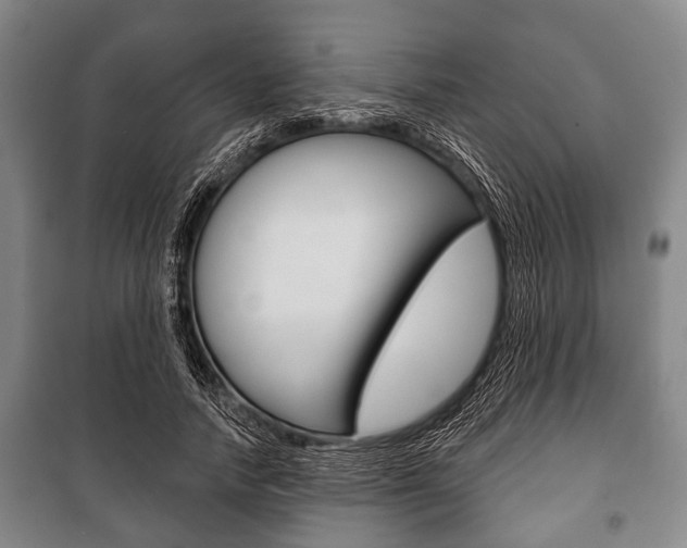 X0000101200738200806270829