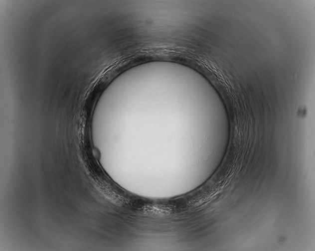 X0000101200739200806270829