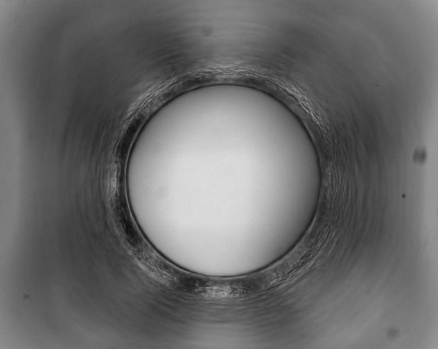 X0000101200740200806270829