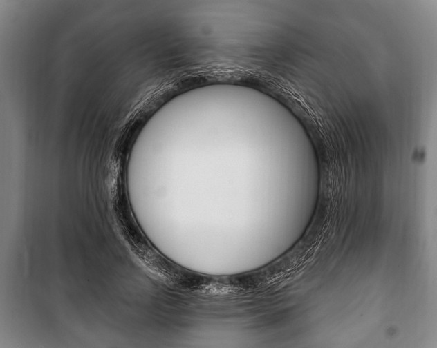 X0000101200742200806270829
