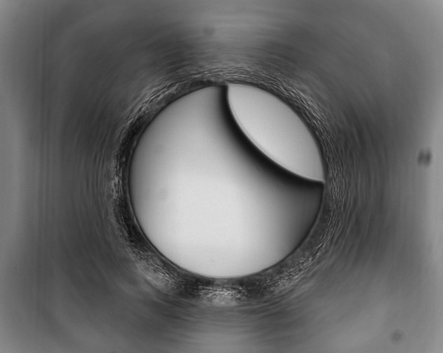 X0000101200743200806270829