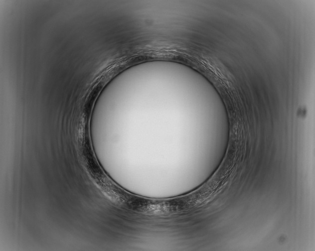 X0000101200744200806270829