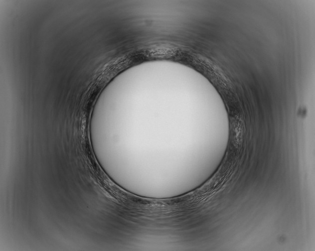 X0000101200745200806270829