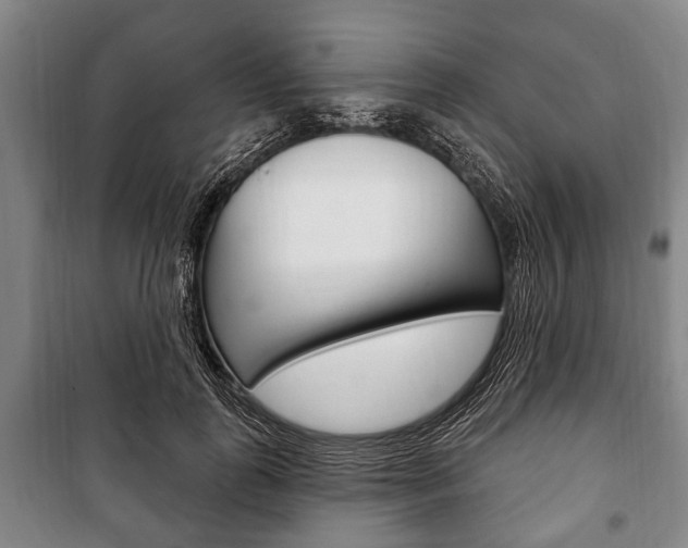 X0000101200747200806270829