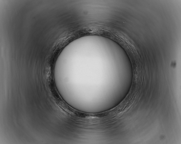 X0000101200748200806270829