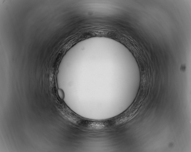 X0000101200749200806270829