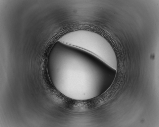 X0000101200750200806270829