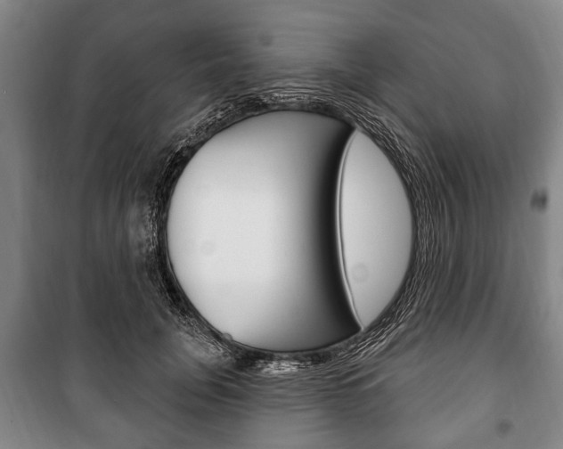 X0000101200751200806270829