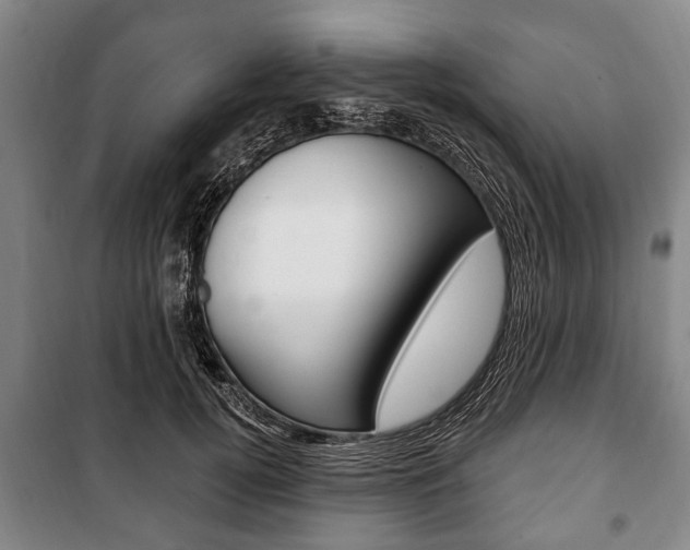 X0000101200752200806270829