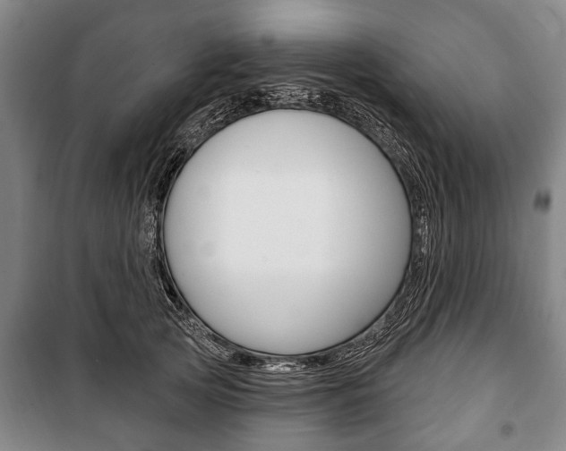 X0000101200753200806270829
