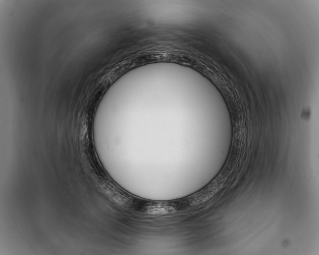 X0000101200754200806270829