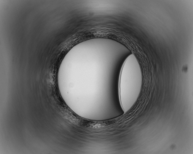 X0000101200755200806270829