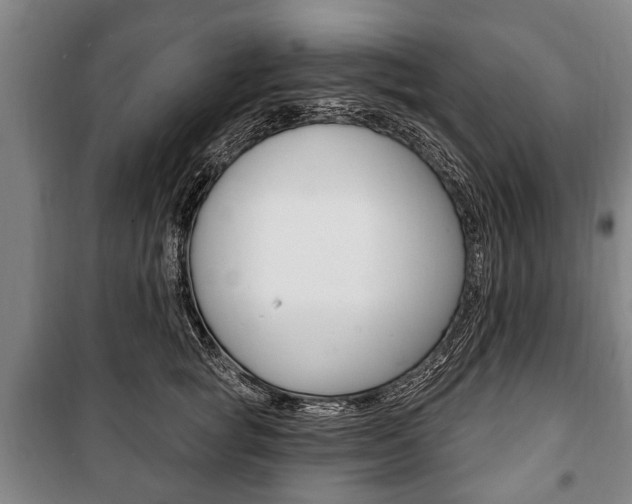 X0000101200757200806270829