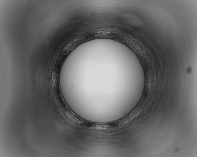 X0000101200758200806270829