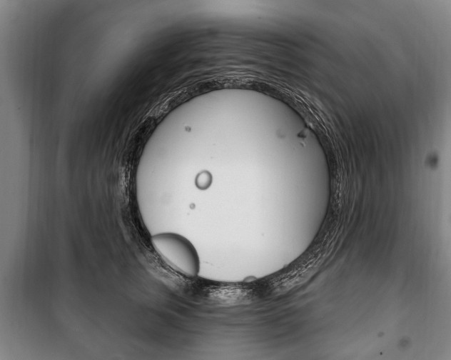 X0000101200759200806270829