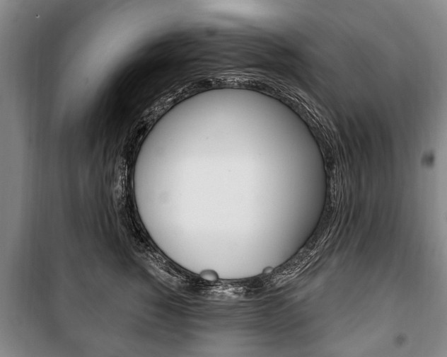 X0000101200760200806270829