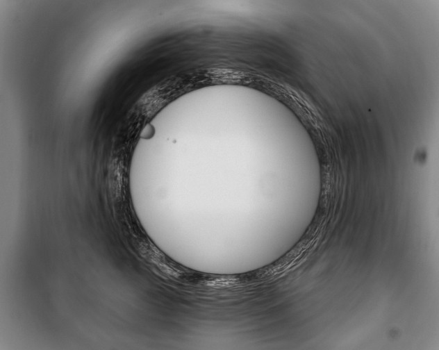 X0000101200761200806270829